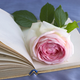 Image for article titled Celebrity Romance Fiction We'd Like To See
